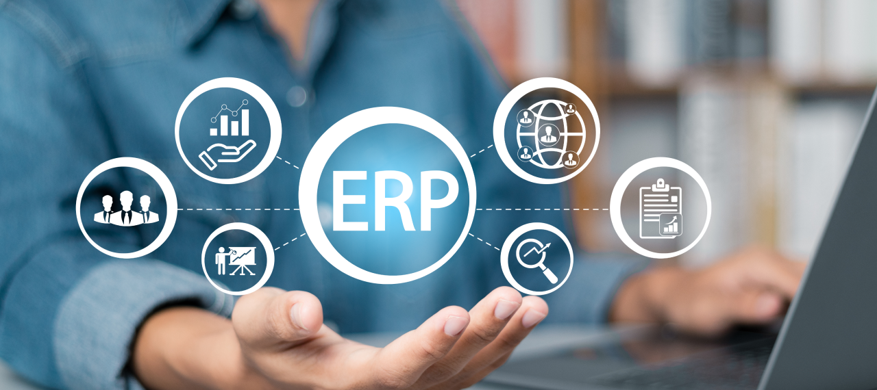 ERP Systems