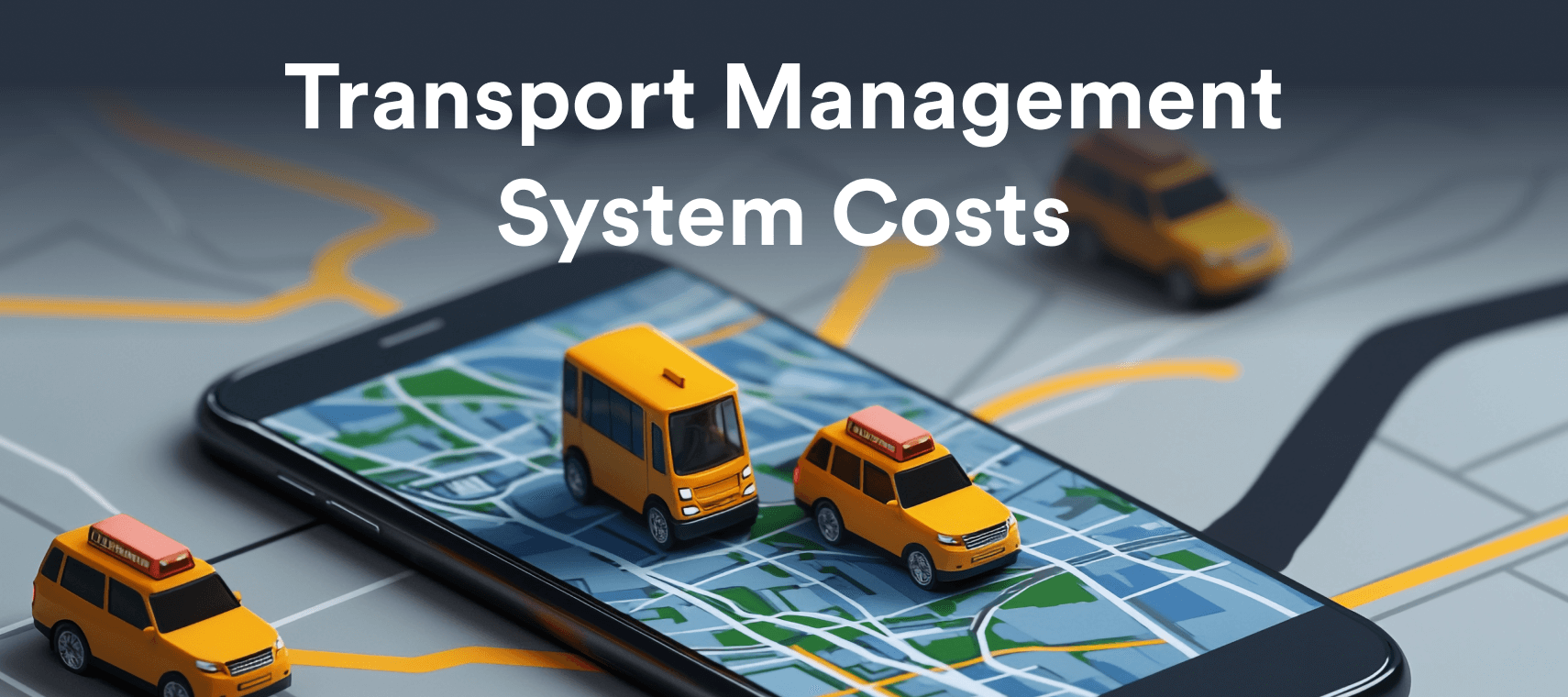 Transport Management System Cost