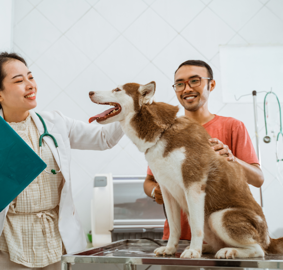 Pet Care & Veterinary Appointment Platform