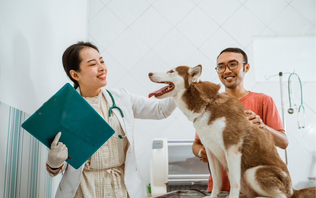 Telemedicine Platforms