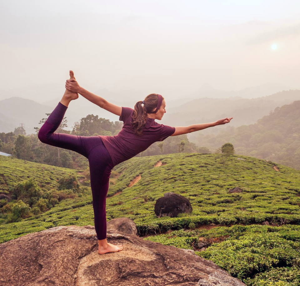 Smart Digital Wellness Platform