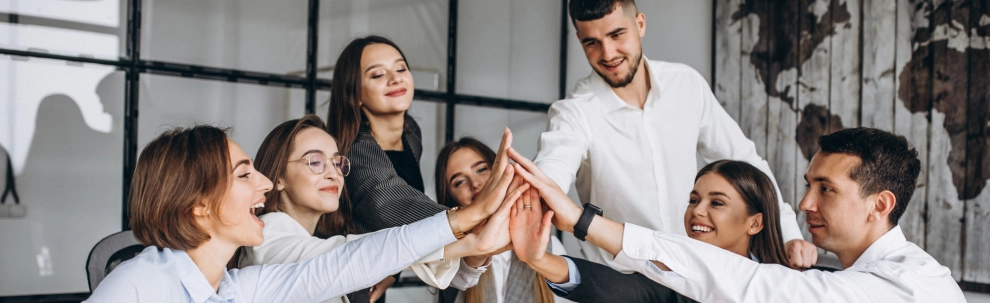 Expert Solution Consulting