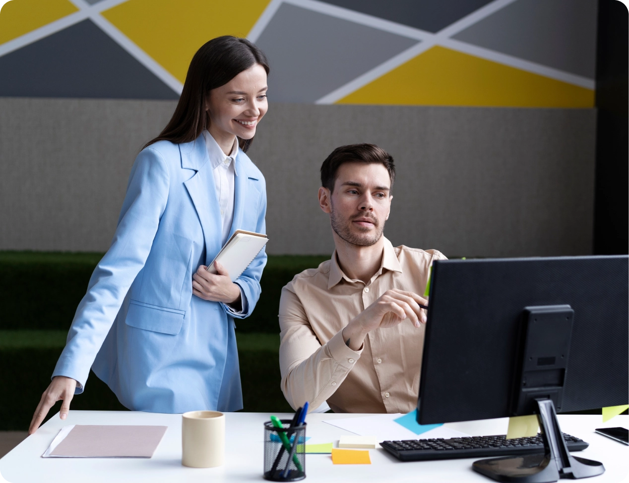 Software Consulting Services